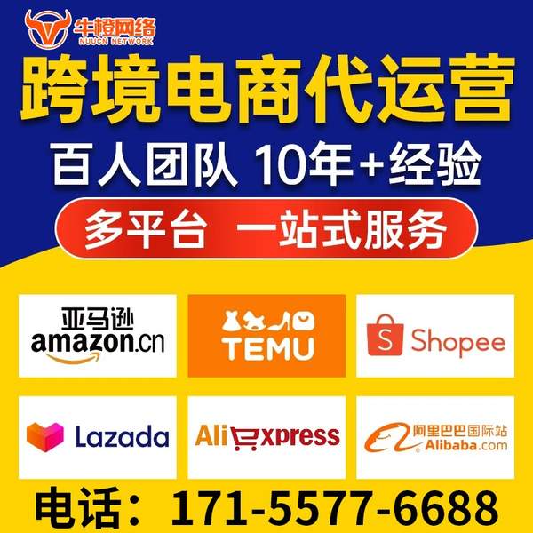 鹤壁电商代运营