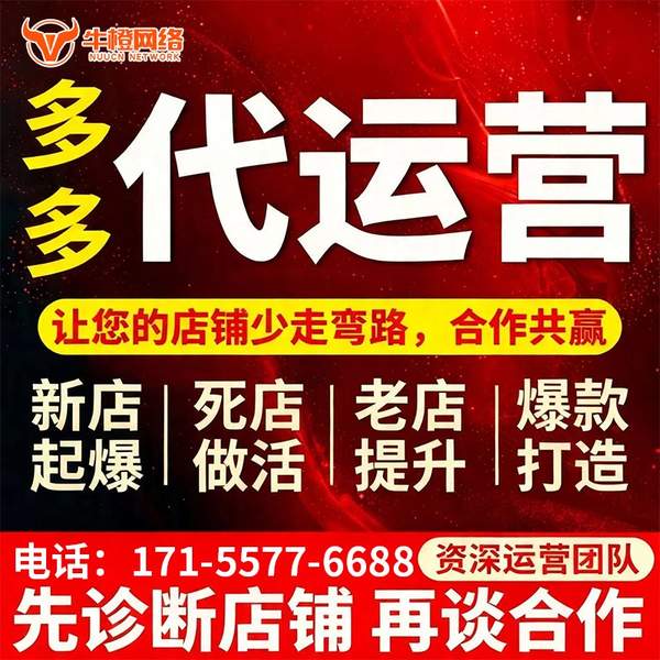 鹤壁电商代运营