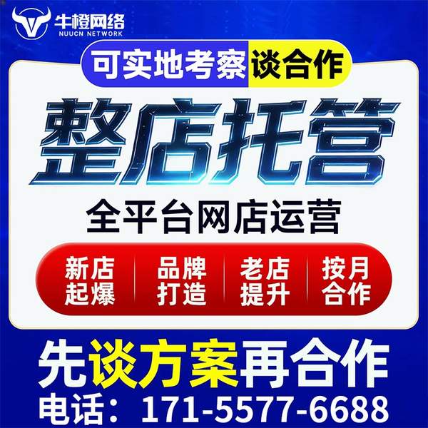 鹤壁电商代运营