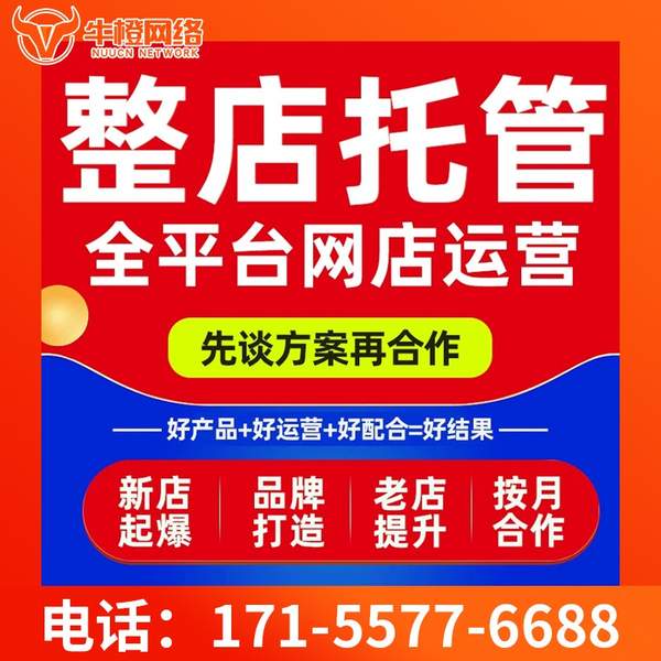 鹤壁电商代运营