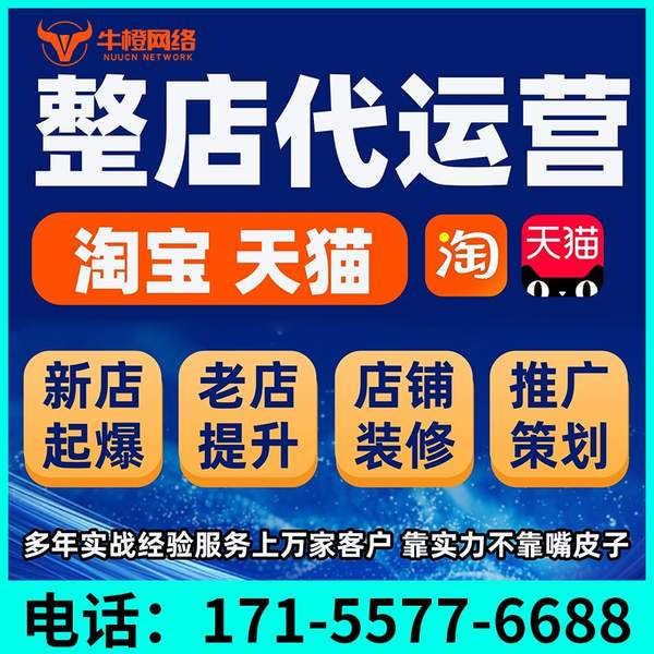 鹤壁电商代运营