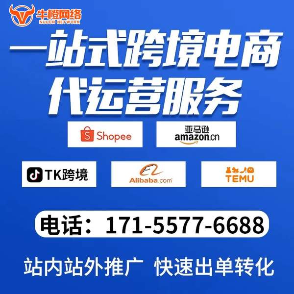 鹤壁电商代运营