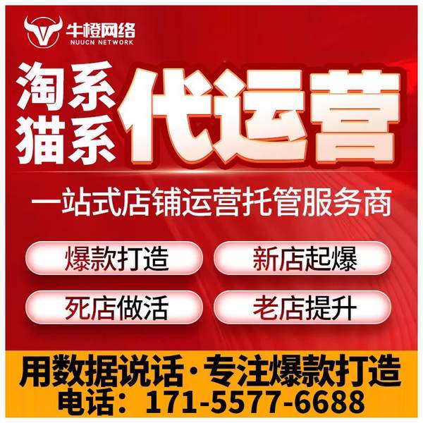 鹤壁电商代运营
